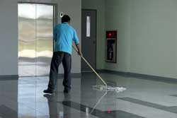 janitorial cleaning services